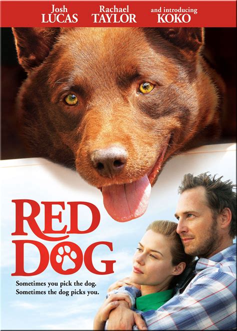 Red Dog DVD Poster [Exclusive]