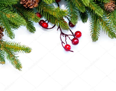 Christmas. Evergreen Fir tree Border Design — Stock Photo © Subbotina ...