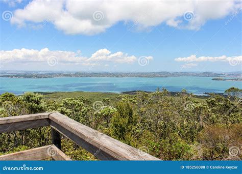 Rangitoto Island Royalty-Free Stock Image | CartoonDealer.com #150852820