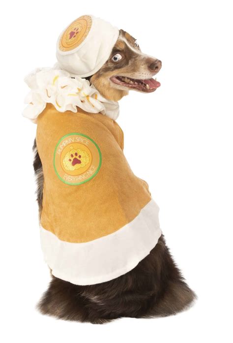 Pumpkin Spice Latte Dog & Cat Costume - Pet Costume Center