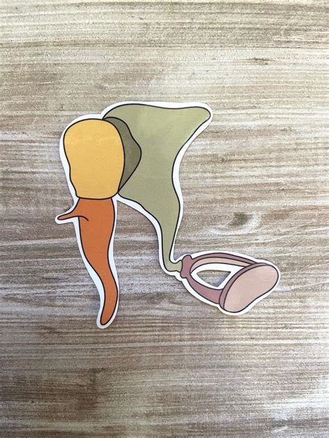 Ossicle Anatomy Sticker Audiology Hearing Loss Middle - Etsy