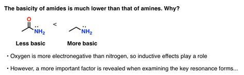 5 Factors That Affect Basicity of Amines — Master Organic Chemistry