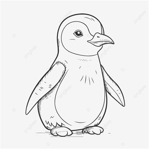 Pencil Drawing Of A Cute Penguin Bird Outline Sketch Vector, Penguin ...