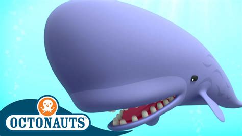 @Octonauts - The Scared Sperm Whale 🐋 | Series 2 | Full Episode 10 | Cartoons for Kids - YouTube