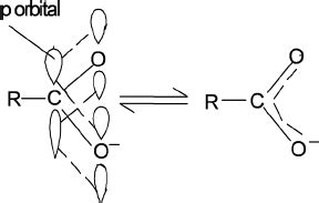 Resonance structure of carboxyl group. | Download Scientific Diagram