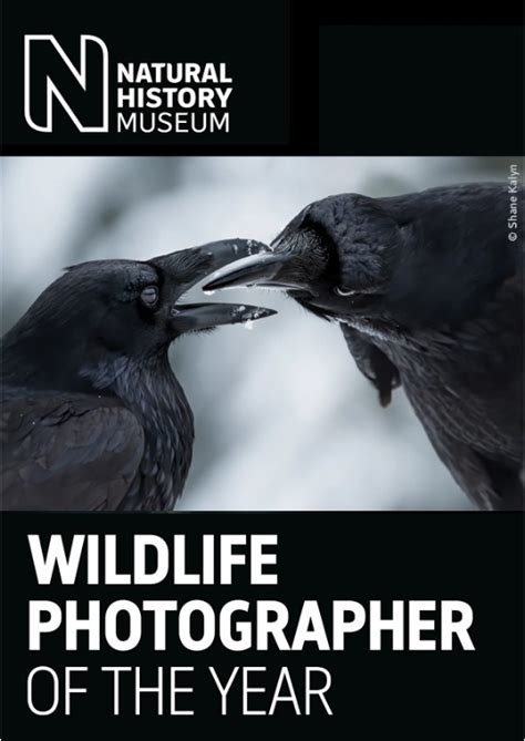 Wildlife Photographer of the Year 2023 | Photo Contest Insider