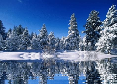 Animated Snowing Wallpaper Free - WallpaperSafari