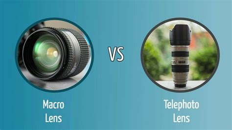 Macro vs. Telephoto Lens: Uses, Differences, and FAQ - Optics Mag