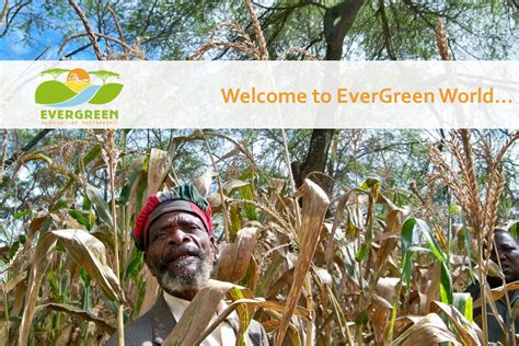 Welcome to EverGreen World | EverGreen Agriculture