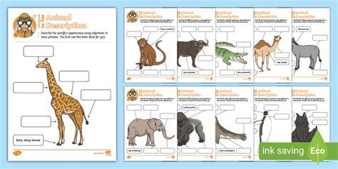 KS1 From Head to Toe Animal Description Worksheets - Twinkl