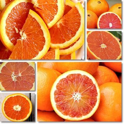 Properties and Benefits of Cara Cara Oranges - NatureWord