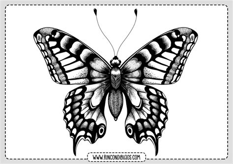 a black and white drawing of a butterfly