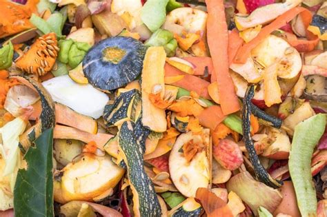 Premium Photo | Vegetable and fruit peels for compost