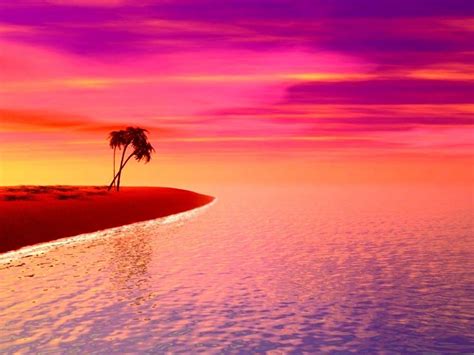 🔥 [30+] Purple Beach Wallpapers | WallpaperSafari