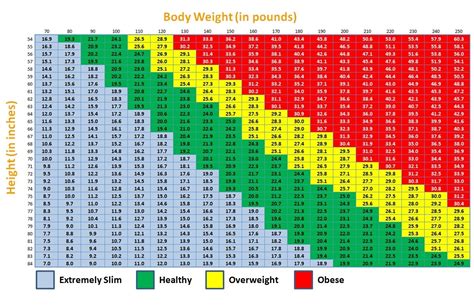 Body Mass Index - Everything You Should Know About Your BMI - Find Your ...