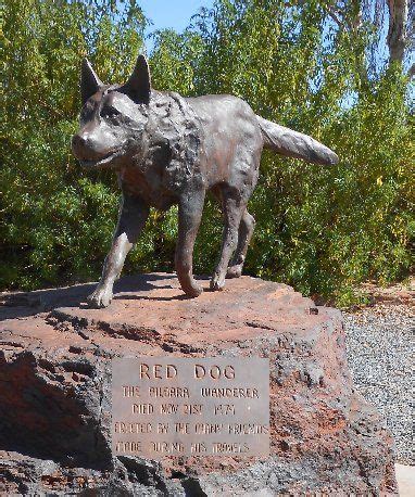 Bronze statue of Red Dog at Dampier. | Dog statue, Red dog, Dogs