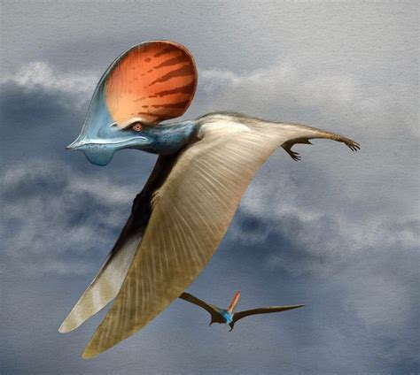 This pterosaur named tapejara lived in what is now Brazil about 110 million years ago in the ...