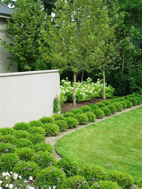 24 Beautiful Boxwood Garden Ideas