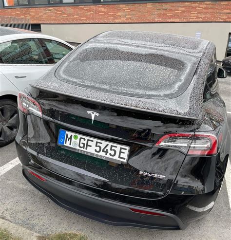 Made in Germany Tesla Model Y Spotted in Norway, Hides More Than a Few ...