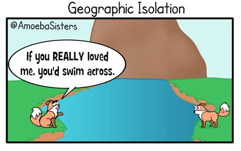 All of these reproductive isolation types can lead to speciation! (3 of 3) #biology #science ...