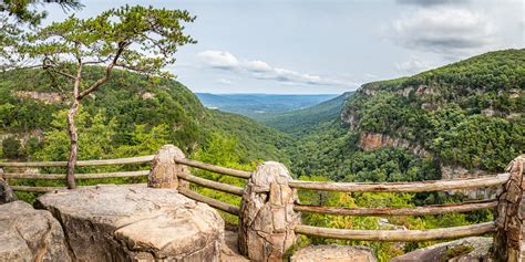 Best Hiking in Chattanooga: Top Trails and Scenic Routes