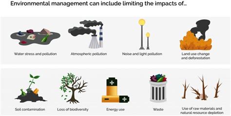 What Environmental Responsibilities Do Businesses Have?