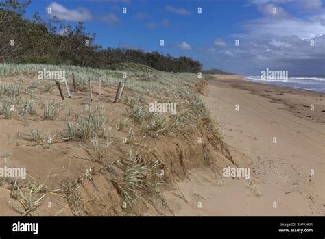 Turtle nesting sites at Deepwater National Park Queensland Australia ...