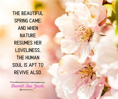 30 Spring Quotes to Make Your Coronary heart Blossom in 2020 | Spring quotes, Human soul