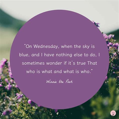 Hump Day Blues? 50+ Wednesday Quotes to Get You Through