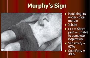 Murphy Sign