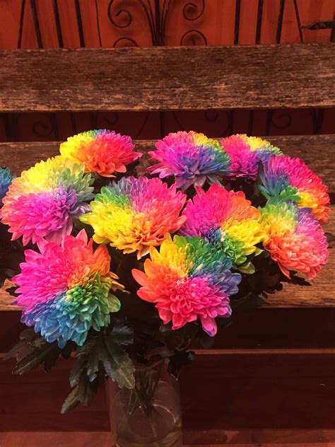 Rainbow Chrysanthemum | Buy Online | The Big Bunch