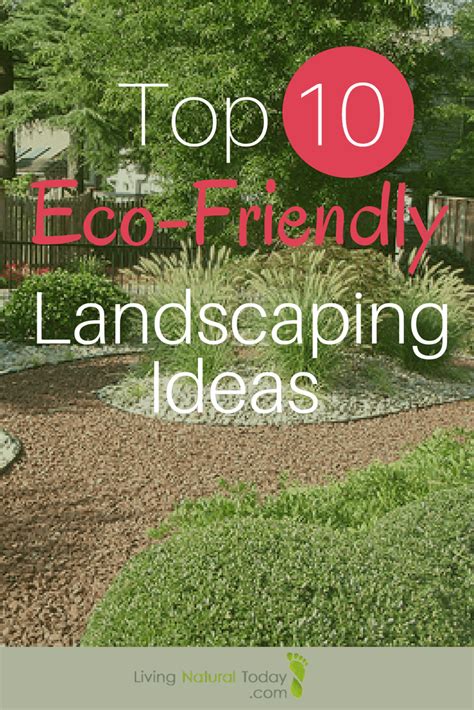 Top 10 Eco-Friendly Landscaping Ideas