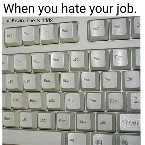 I hate my job : memes