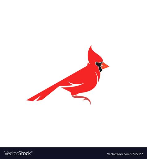 Northern cardinal bird Royalty Free Vector Image