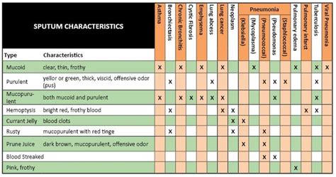 Sputum Characteristics | Respiratory care, Nursing labs, Respiratory ...