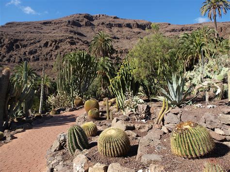 Palmitos Park - Gran Canaria - CK FISCHER