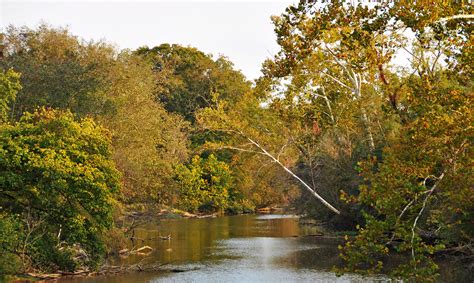 Neuse River - American Rivers