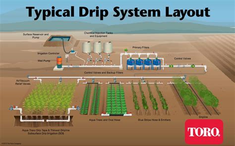 Components Of Drip Irrigation System – Watmov