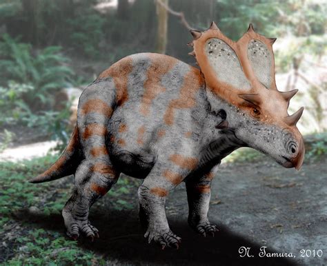 Utahceratops | Paleontology World