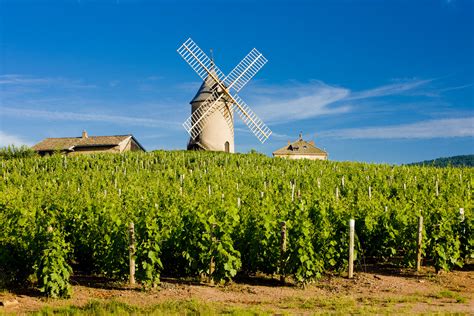 Beaujolais Villages & Wineries: What to do in Beaujolais