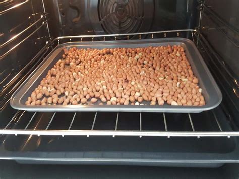 Various Types of Peanut Roaster for Sale | Peanut Roasting Machine