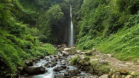 Wisata Kebun Raya Cibodas