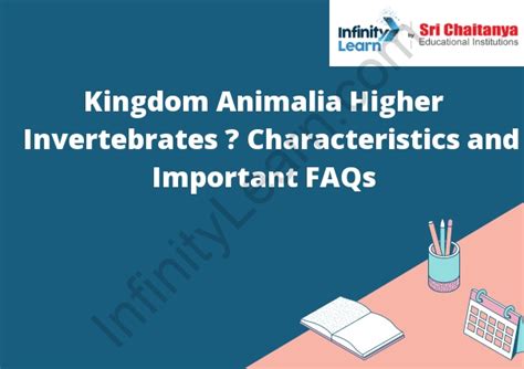 Kingdom Animalia Higher Invertebrates – Characteristics and Important FAQs - Infinity Learn by ...