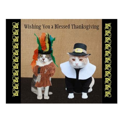 Funny Cats Thanksgiving Gifts - T-Shirts, Art, Posters & Other Gift Ideas | Zazzle