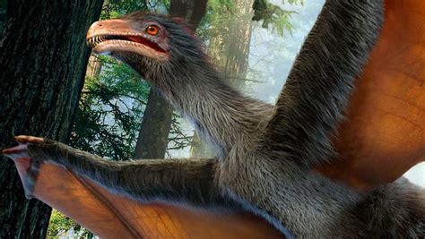 Yi qi: Bat-Winged Dinosaur Discovered in China | Paleontology | Sci ...