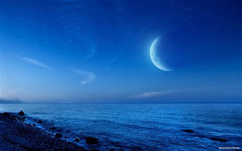 Free download Free Wallpaper Free Nature wallpaper Moonlight Landscape wallpaper [1920x1200] for ...