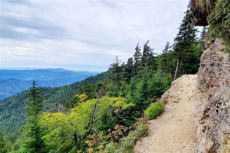 Mount LeConte hike ⛰ What is the best trail to get to Mt LeConte summit? + mountain viewing ...