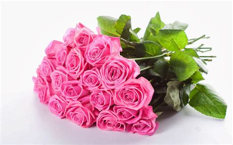 wallpapers: Pink Rose Bouquet Wallpapers