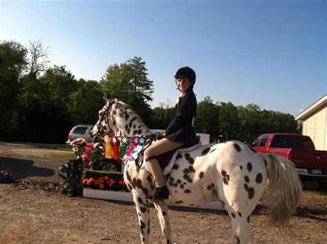 HITS Horse Show, Saugerties, NY, Reserve Champion | Show horses, Horses, Ulster county