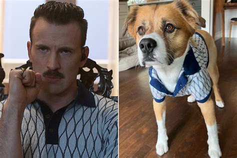 Chris Evans Gets His Dog Dodger a Matching Shirt from The Gray Man